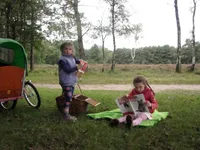 Picknicken op de Westerheide